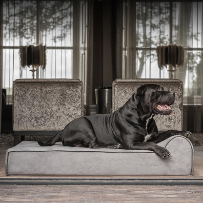 Boerboel ligt ontspannen op een groot grijs Bully Beds hondenmand, ontworpen voor optimale gewrichtsondersteuning en passend in elk interieur