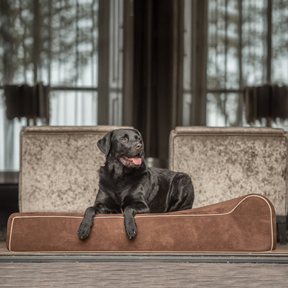 Labrador ligt ontspannen op een bruin Bully Beds hondenbed, waterproof en ergonomisch ontworpen