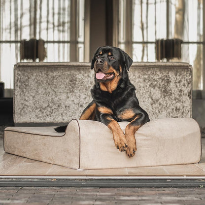 Rottweiler op een groot beige orthopedisch hondenbed van Bully Beds, duurzaam, waterproof en wasbaar